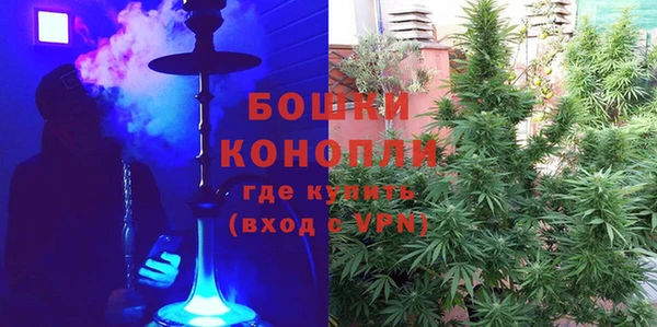 гидра Белоозёрский