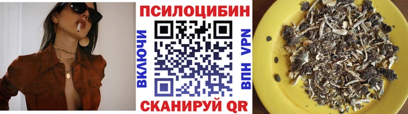 Галлюциногенные грибы Psilocybine cubensis  Острогожск 